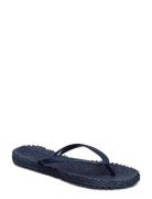 Flipflop With Glitter Shoes Summer Shoes Sandals Flip Flops Blue Ilse ...