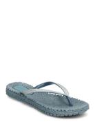 Flipflop With Glitter Shoes Summer Shoes Sandals Flip Flops Blue Ilse ...