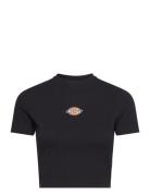 Maple Valley Tee Tops Crop Tops Short-sleeved Crop Tops Black Dickies