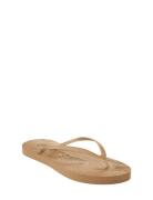 Slim Eggnog Flip Flop Shoes Summer Shoes Sandals Flip Flops Beige SLEE...