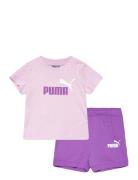 Minicats Tee & Shorts Set Sport Sets With Short-sleeved T-shirt Purple...