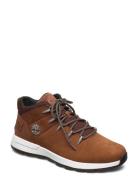 Mid Lace Up Sneaker Designers Sneakers Low-top Sneakers Brown Timberla...