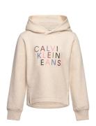 Colour Logo Fleece Hoodie Tops Sweatshirts & Hoodies Hoodies Cream Cal...