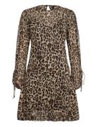Short Leopard-Print Dress Kort Kjole Brown Mango