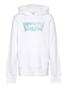 Lvb Palm Batwing Fill Hoodie / Lvb Palm Batwing Fill Hoodie Tops Sweat...