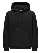 Onsemilio Reg Teddy Hoodie Sweat Vd Tops Sweatshirts & Hoodies Hoodies...