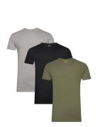 Bci Cotton-3Pk-Ucr Tops T-Kortærmet Skjorte Green Polo Ralph Lauren Un...