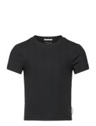 Cropped Rib T-Shirt Tops T-Kortærmet Skjorte Black Tom Tailor