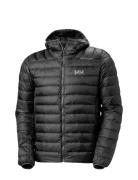 Verglas Hooded Down 2.0 Foret Jakke Black Helly Hansen