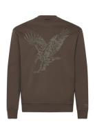 Sweatshirt Tops Sweatshirts & Hoodies Sweatshirts Brown Armani Exchang...