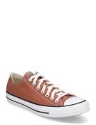 Chuck Taylor All Star Sport Sneakers Low-top Sneakers Brown Converse