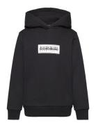 Chamois Hoodie Tops Sweatshirts & Hoodies Hoodies Black Napapijri