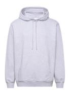 Nb Half Moon Hoodie Grey Tops Sweatshirts & Hoodies Hoodies Purple Nik...