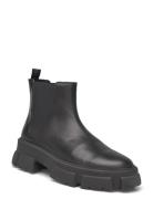 Travis Chelsea Boots Støvlet Chelsea Boot Black Steve Madden