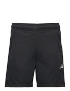 Tr-Es Allsetsho Sport Shorts Sport Shorts Black Adidas Performance