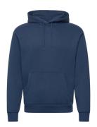 Hco. Guys Sweatshirts Tops Sweatshirts & Hoodies Hoodies Navy Holliste...