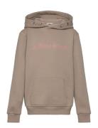 Borg Essential 3 Hoodie Tops Sweatshirts & Hoodies Hoodies Beige Björn...