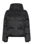 Masella Jkt W Foret Jakke Black SNOOT