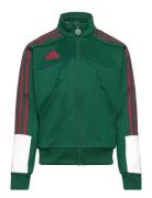 J Np Ttop Sport Sweatshirts & Hoodies Sweatshirts Green Adidas Sportsw...