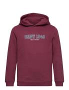 Gant 1949 Hoodie Tops Sweatshirts & Hoodies Hoodies Burgundy GANT