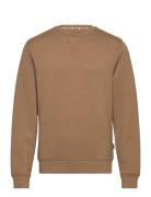 Sweatshirt - Pp Tops Sweatshirts & Hoodies Sweatshirts Brown Blend