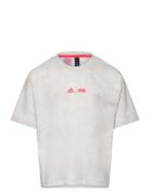 J Sw Zne T Tops T-Kortærmet Skjorte Grey Adidas Sportswear