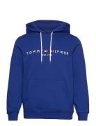 Tommy Logo Hoody Tops Sweatshirts & Hoodies Hoodies Blue Tommy Hilfige...