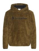 Hooded Top Tops Sweatshirts & Hoodies Hoodies Khaki Green Champion