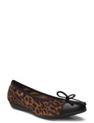 A-6134 Ballerinasko Ballerinaer Brown Wonders