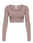 Luxe Seamless Crop Long Sleeve Sport Crop Tops Long-sleeved Crop Tops ...