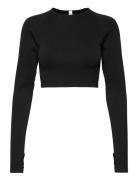 Sport Top Ella Seamless Long S Sport Crop Tops Long-sleeved Crop Tops ...