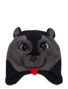 Animal Fam Chi Hat Accessories Headwear Hats Winter Hats Black Kombi