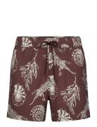 Moses Swim Shorts Aop 14702 Designers Shorts Brown Samsøe Samsøe