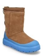 M Classic Short Weat Shoes Boots Winter Boots Brown UGG