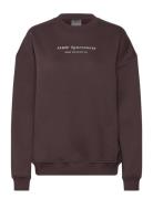 Serif Sweatshirt Sport Sweatshirts & Hoodies Sweatshirts Brown Aim´n