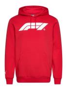 F1 Ess Logo Hoodie Fl Sport Sport Clothing Sport Sweatshirts & Hoodies...