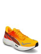 Velocity Nitro 3 Fade Wns Sport Sport Shoes Sport Running Shoes Orange...