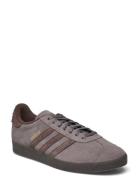 Gazelle Sport Sport Shoes Sport Sneakers Sport Low Top Sneakers Brown ...