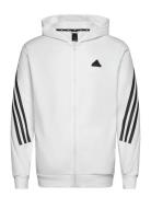 Future Icons 3 Stripes Full-Zip Hoodie Sport Men Sport Clothing Sport ...