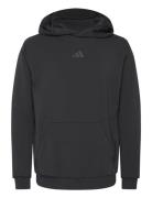 D4T Hoodie Sport Sport Clothing Sport Sweatshirts & Hoodies Sport Hood...