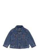 Cotton Denim Jacket Outerwear Jackets & Coats Denim & Corduroy Blue Ma...