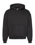 Hco. Guys Sweatshirts Tops Sweatshirts & Hoodies Hoodies Black Hollist...