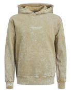 Jorvesterbro Wash Sweat Hood Aw Jnr Tops Sweatshirts & Hoodies Hoodies...