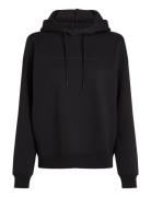 Institutional Graphic Reg Hoodie Tops Sweatshirts & Hoodies Hoodies Bl...