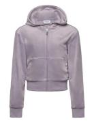 Tonal Zip Through Hoodie Tops Sweatshirts & Hoodies Hoodies Purple Jui...