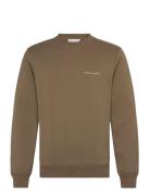 Emerson Tops Sweatshirts & Hoodies Sweatshirts Brown Tiger Of Sweden