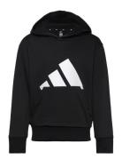 J Bl Ft Hd 280 Tops Sweatshirts & Hoodies Hoodies Black Adidas Sportsw...