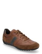 U Wells A Low-top Sneakers Brown GEOX