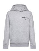 Borg Essential 1 Hoodie Tops Sweatshirts & Hoodies Hoodies Grey Björn ...