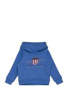 Archive Shield Raglan Hoodie Tops Sweatshirts & Hoodies Hoodies Blue G...